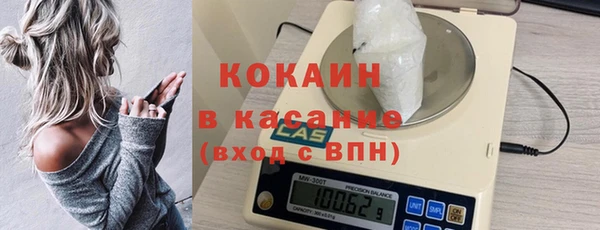 соль ск Алексин