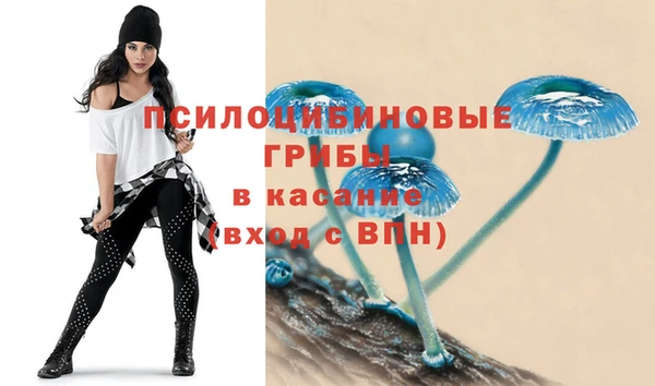 соль ск Алексин