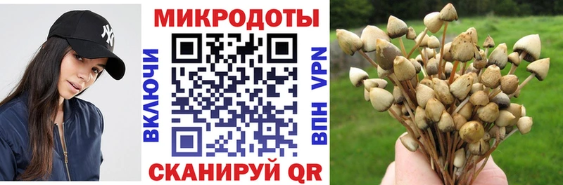 это телеграм  Курган  Псилоцибиновые грибы Psilocybe 